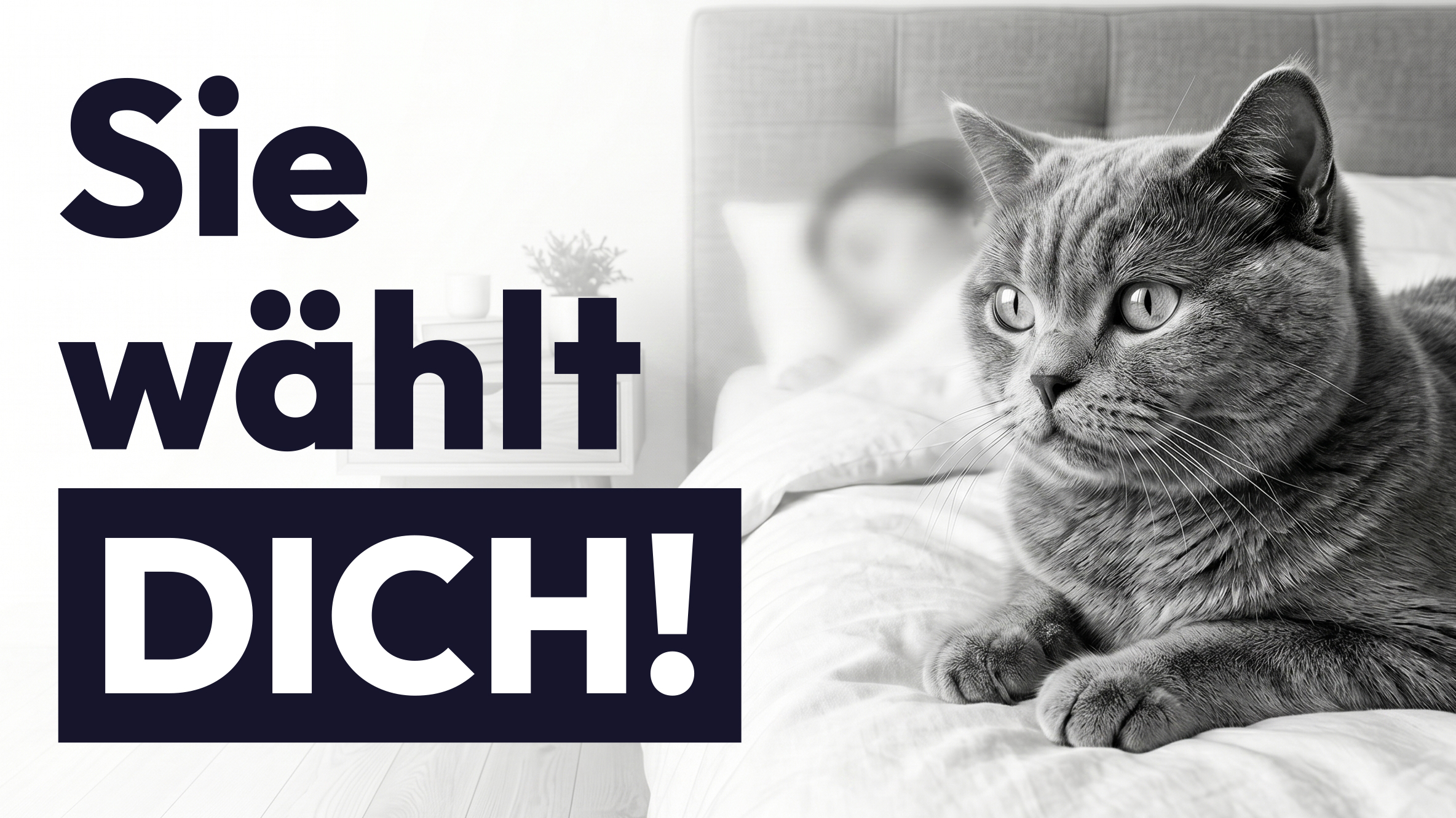 Warum schläft deine Katze nachts BEI dir? Der wahre Grund